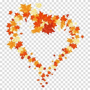 Autumn leaf color , autumn transparent background PNG clipart