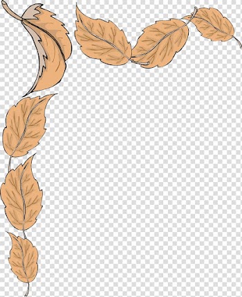 Autumn leaf color , autumn transparent background PNG clipart