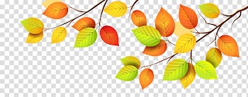Autumn leaf color, autumn transparent background PNG clipart