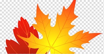 Autumn leaf color , autumn transparent background PNG clipart