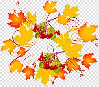 Autumn leaf color , autumn transparent background PNG clipart