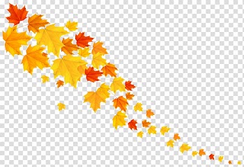 Autumn leaf color , autumn transparent background PNG clipart