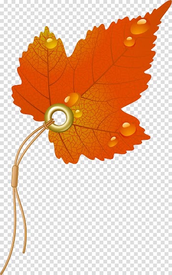 Autumn leaf color, autumn transparent background PNG clipart