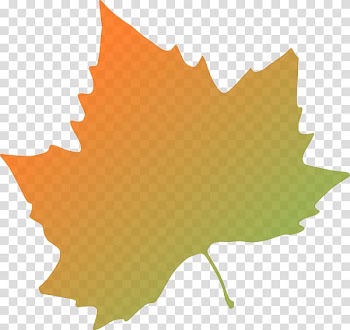 Autumn leaf color , autumn transparent background PNG clipart