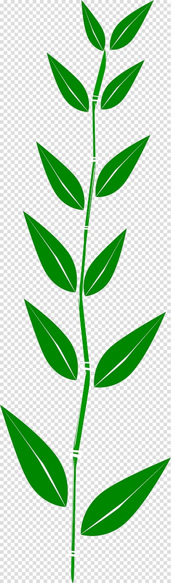 Autumn leaf color , bamboo transparent background PNG clipart
