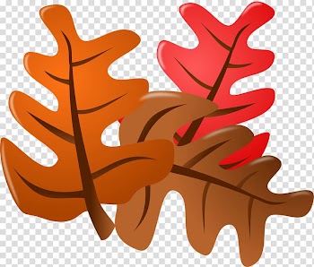 Autumn leaf color Blog , orange tree transparent background PNG clipart