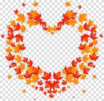 Autumn leaf color , blooming effect transparent background PNG clipart