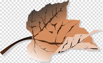 Autumn leaf color , Brown transparent background PNG clipart
