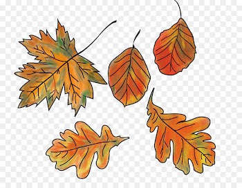 Autumn leaf color Bunt sind schon die Wälder Clip art - Leaf 