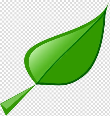 Autumn leaf color , Cartoon Holly Leaf transparent background PNG clipart
