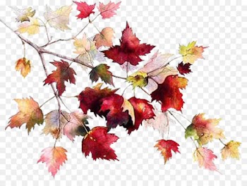 Autumn leaf color China Glaze Drawing Image - autumn 