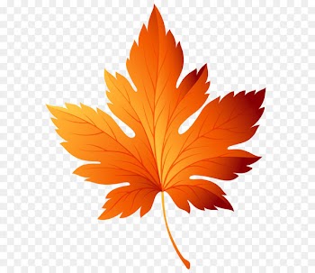 Autumn leaf color Clip art - Autumn Leaf Transparent PNG Clip Art Image 
