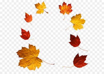Autumn leaf color Clip art - Autumn Leaves PNG Clipart 