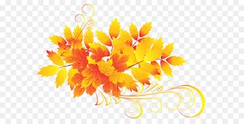 Autumn leaf color Clip art - Autumn Leaves PNG Clipart 