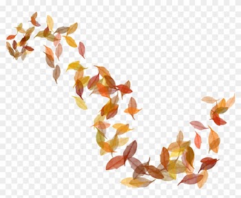 Autumn Leaf Color Clip Art - Autumn Leaves Transparent
