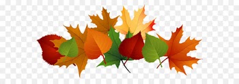 Autumn leaf color Clip art - Fall Leaves PNG Picture 