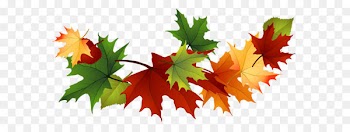 Autumn leaf color Clip art - Fall Transparent Leaves Clipart 