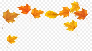 Autumn leaf color Clip art - Falling Leaves Transparent Background 