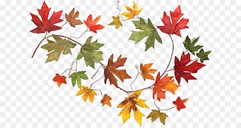 Autumn leaf color Clip art - Leaf 
