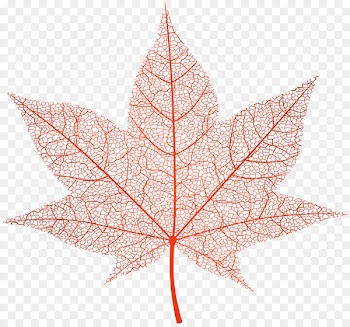 Autumn leaf color Clip art - leaves 
