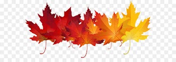 Autumn leaf color Clip art - Red Autumn Leaves Transparent Clip Art Image 