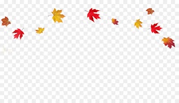 Autumn leaf color Clip art - Transparent Fall Leaves Border PNG 