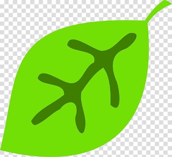 Autumn leaf color Computer Icons , Cute Leaf transparent background PNG clipart