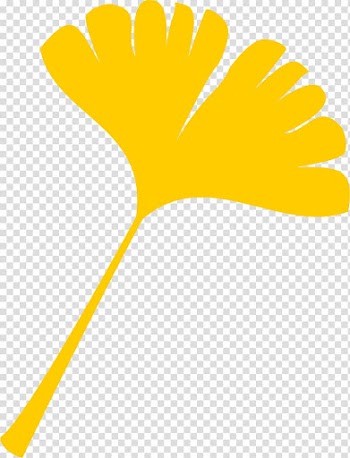 Autumn leaf color Desktop , ginkgo transparent background PNG clipart