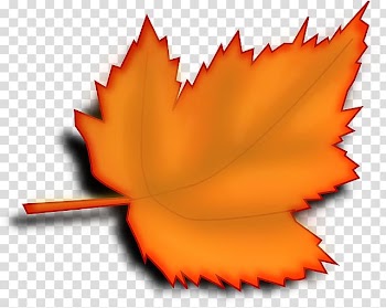 Autumn leaf color Desktop , Orange Dentist transparent background PNG clipart