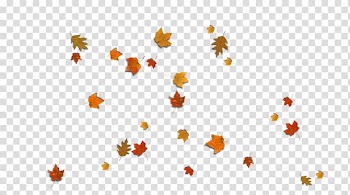 Autumn leaf color Desktop , sunflower leaf transparent background PNG clipart