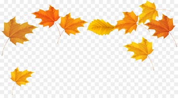 Autumn leaf color Desktop Wallpaper Clip art - Leaf 