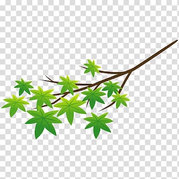 Autumn leaf color Drawing, autumn transparent background PNG clipart