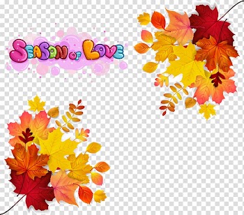 Autumn leaf color Euclidean , Maple autumn leaves transparent background PNG clipart
