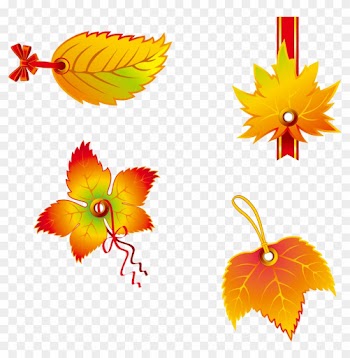 Autumn Leaf Color Euclidean Vector Clip Art - Vector Graphics
