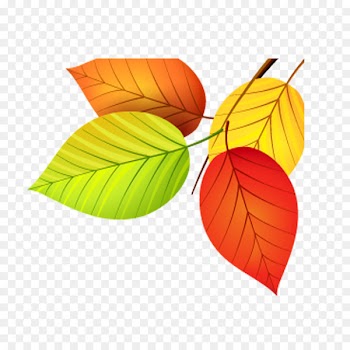 Autumn leaf color Euclidean vector - Colorful leaves 