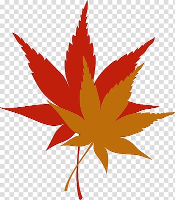 Autumn leaf color , european flower vine transparent background PNG clipart