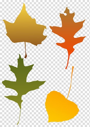 Autumn leaf color , Fall Art transparent background PNG clipart