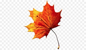 Autumn leaf color - Fall Autumn Leaves Transparent PNG 