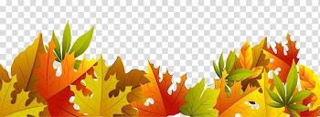 Autumn leaf color , Fall Decoration transparent background PNG clipart
