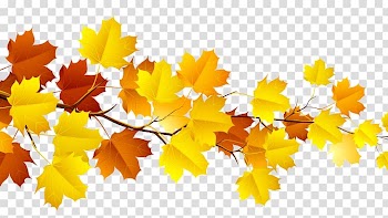 Autumn leaf color , Fall Season transparent background PNG clipart