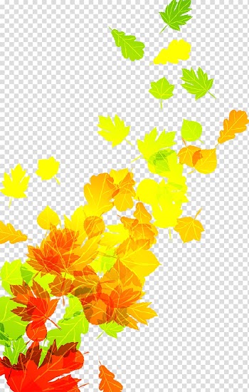 Autumn leaf color, Falling leaves transparent background PNG clipart