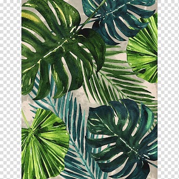 Autumn leaf color Fern Maple Arecaceae, Canvas Print transparent background PNG clipart