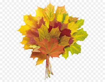 Autumn leaf color Flower bouquet - Autumn Leaves PNG Image 