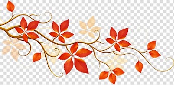 Autumn leaf color Flower , Maple Leaf transparent background PNG clipart