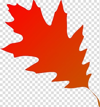 Autumn leaf color , folha transparent background PNG clipart