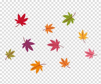 Autumn leaf color Fotolia Caregiver, autumn transparent background PNG clipart