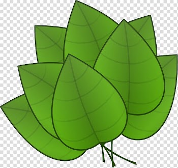 Autumn leaf color Free content , Dead Turkey transparent background PNG clipart