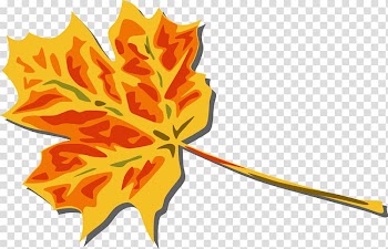 Autumn leaf color , Free Leaf transparent background PNG clipart