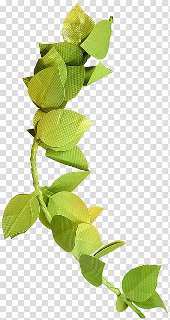 Autumn leaf color Green Branch, Leaves transparent background PNG clipart