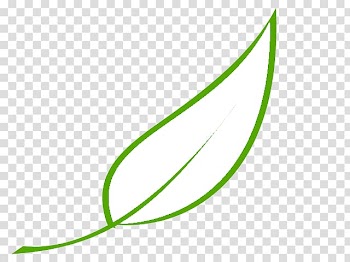 Autumn leaf color Green , green lotus leaf transparent background PNG clipart